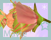 mayte as anime 3 hat