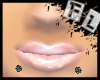Black Snakebites[STUD]