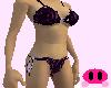 Purple Zebra bikini