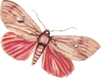 sticker_142776_13362348