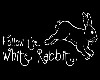 follow the white rabbit