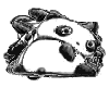 rolling panda
