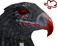 Hawk of Death Head