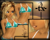 -tx- Du-Skin C