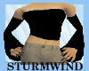 Black top w. Sleeves