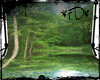 *FD* Forest Backdrop
