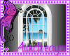 *White Ocean View Window