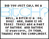 Bitch?
