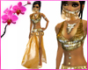 RC Gold Arabia Set