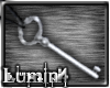 [*L] Ant. Key Necklace