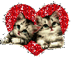 Product Image for {ds} love cat