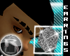 -R- IcedOut Earings