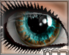 [n77] DeepInMyEyes Br/G