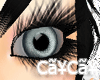 CaYzCaYz ExtraXLLashBNG