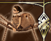 Arachne - Wolf Spider