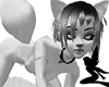 Silver Kitty Bundle