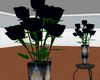 Vampire Roses
