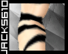 [J]Bat skin