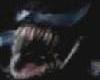 Symbiote Attack