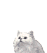 sticker_166449_5960