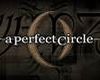 A Perfect Circle