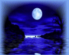 SCENE WITH MOVING WATER.