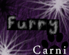 Furry w/ Paws