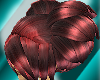 (LL)XKS Auburn Red Heart