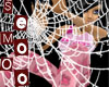 SpiderWeb transparentBG