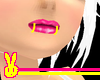 .R. F.H. Snake Bites