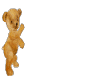 bear making a haedroll
