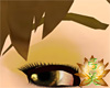 Golden Chestnut Brows