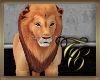 TC~King of Lions