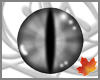 Silver Dragon Eyes