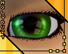 Noscere Eyes - Bottle