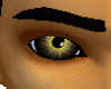 Wolf eyes
