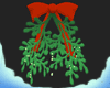 mistletoe!