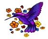 HummingBird