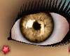 BB*Brawonic Eyes