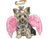 Yorkie Angel - Pink