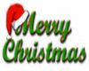 Merry Christmas t shirt