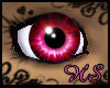 *Pink Wonder*