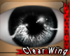 'Verse Eyes Grey