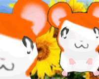 Hamster Dress Up Pet