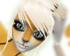 T@ng0