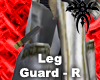 Grey Knight B. - LGR