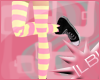 [LB] striped stockings