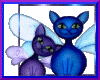 Blue Wing Kittens