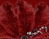 Tenni Red Feather fans