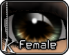 [K] Hazel Luminance Eyes